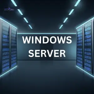 Windows Server Capi Store Buy Antivirus, Microsoft Windows & MS Office at Lowest Price